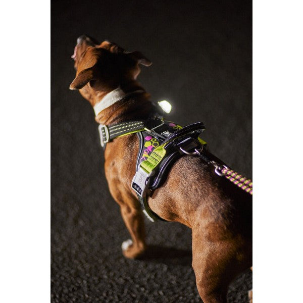 Hurtta Weekend Warrior Neon Dog Harness – Neon Liquorice – 80–100 cm / 32–39 in