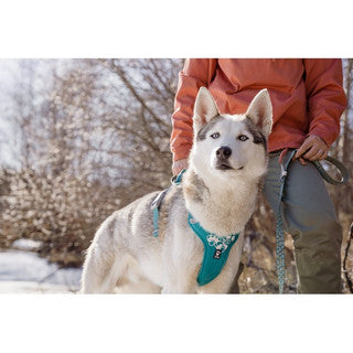 Hurtta Weekend Warrior Harness – Peacock – 40–45cm