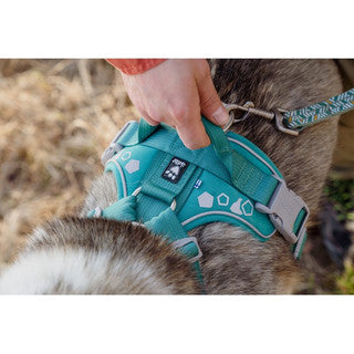 Hurtta Weekend Warrior Harness – Peacock – 40–45cm