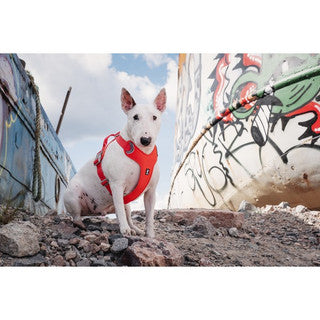 Hurtta Weekend Warrior ECO Harness – Rosehip 80–100cm