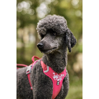Hurtta Weekend Warrior Harness – Ruby 80–100cm