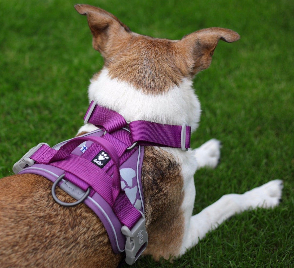 Hurtta Weekend Warrior Harness – Currant – 40–45cm