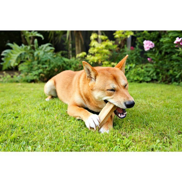 Petello Banana Yak Cheese Dog Chew – Medium 75g