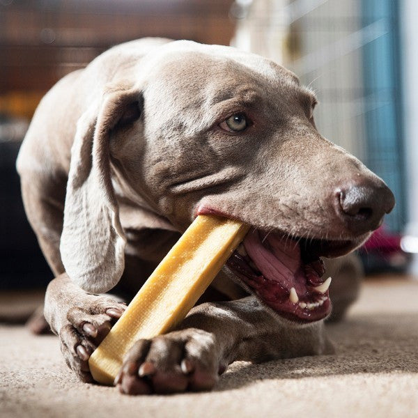 Petello Banana Yak Cheese Dog Chew – Medium 75g